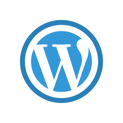Website Design Wordpress
